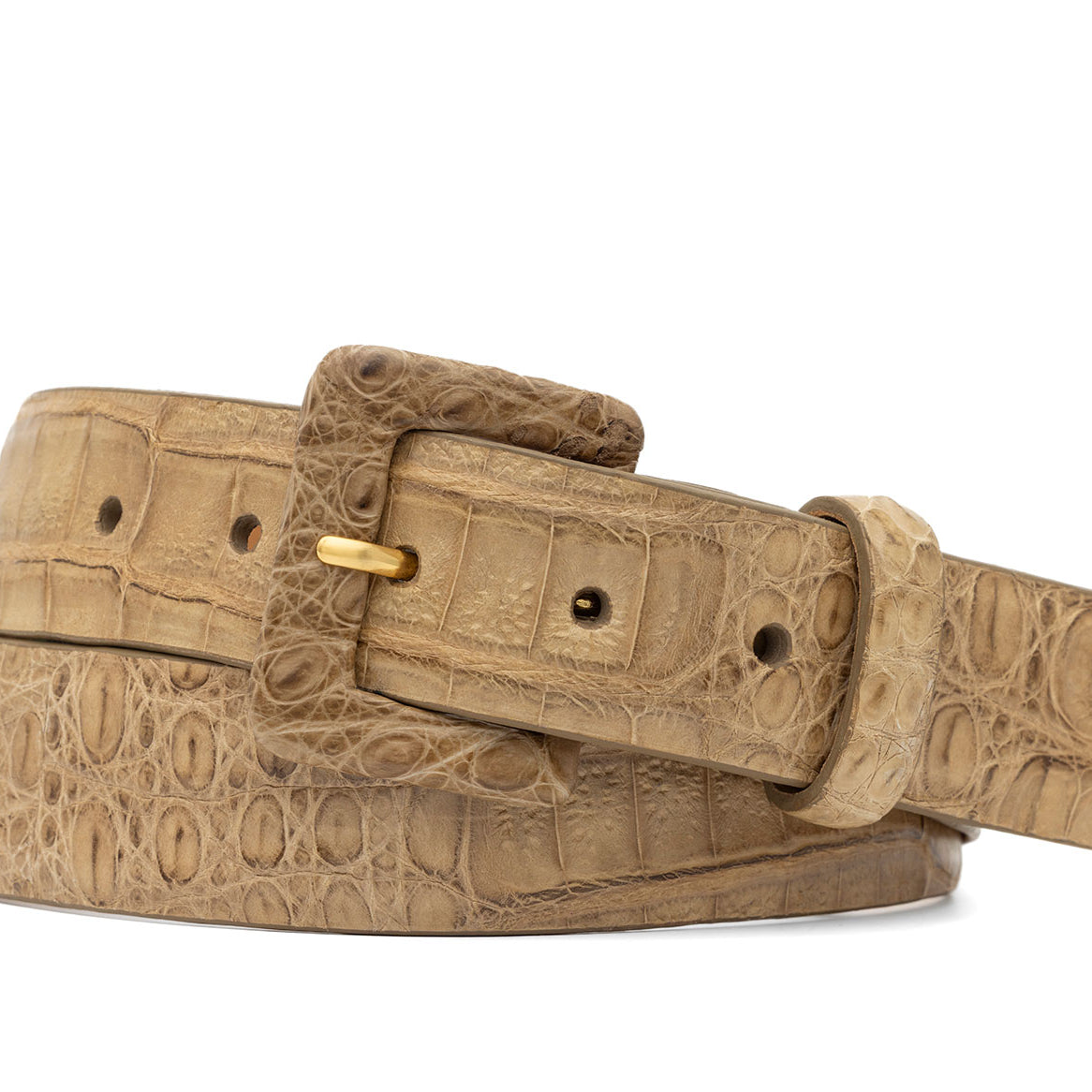 Caiman Crocodile Belt with Covered Buckle