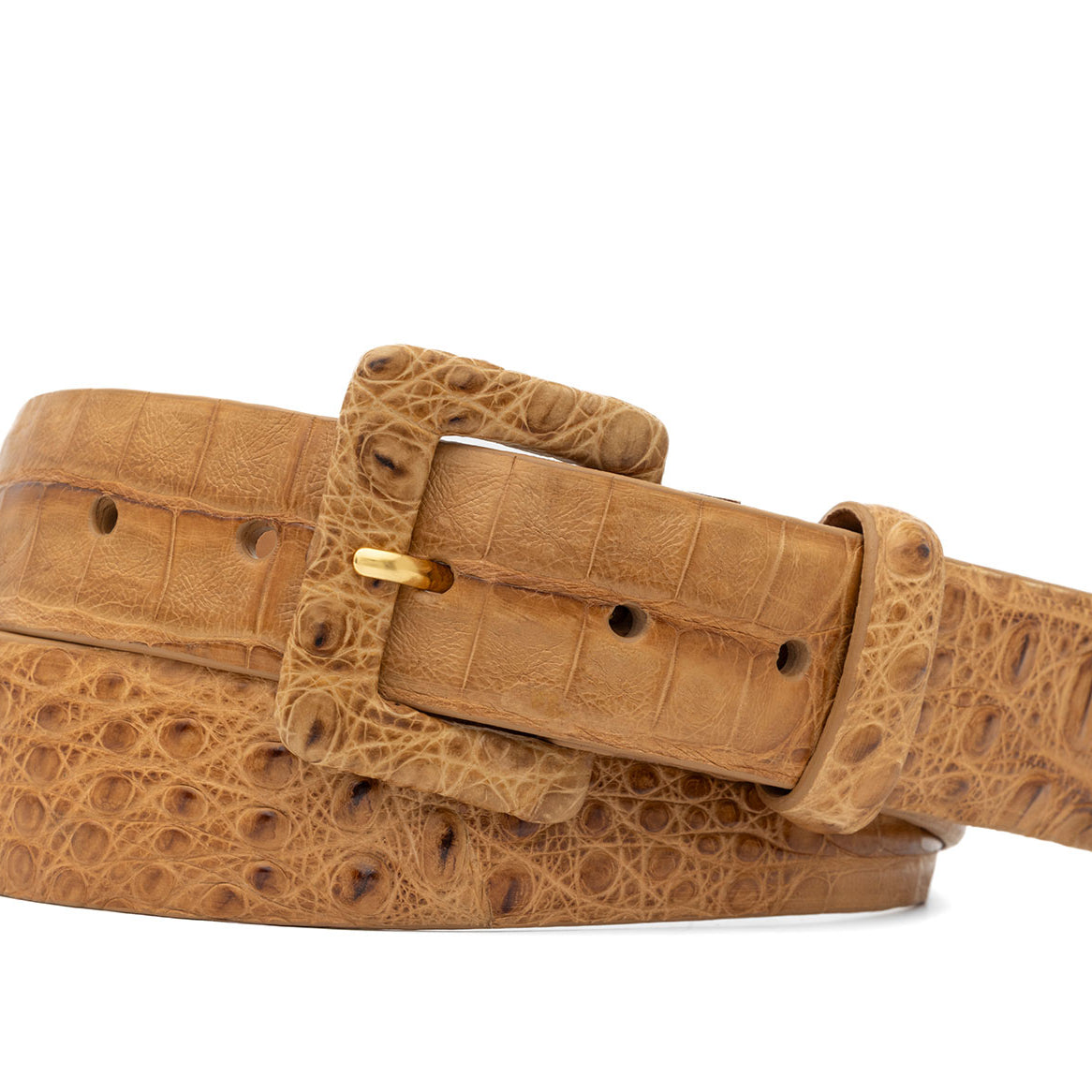 Caiman Crocodile Belt with Covered Buckle
