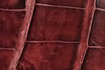 Swatch for Color Burgundy