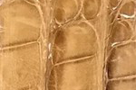 Swatch for Color Saddle Tan