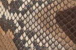 Swatch for Color Matte Multi Grey Diamond