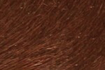 Swatch for Color Cognac