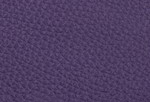 Swatch for Color Purple