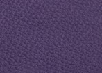 Swatch for Color Purple