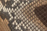 Swatch for Color Matte Multi Grey Diamond