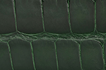 Swatch for Color Forest Green