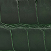 Swatch for Color Forest Green