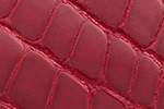 Swatch for Color Red
