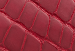 Swatch for Color Red