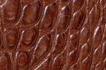 Swatch for Color Cigar