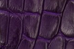 Swatch for Color Violet