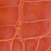 Swatch for Color Orange
