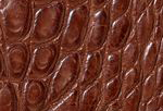 Swatch for Color Cigar