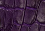 Swatch for Color Violet