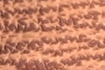 Swatch for Color Cognac