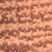 Swatch for Color Cognac
