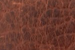 Swatch for Color Cognac