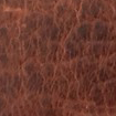 Swatch for Color Cognac