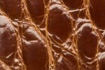 Swatch for Color Cognac