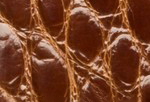 Swatch for Color Cognac