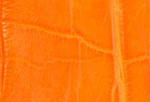 Swatch for Color Orange