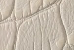 Swatch for Color White