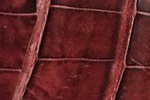 Swatch for Color Burgundy