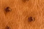 Swatch for Color Brandy