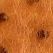 Swatch for Color Brandy