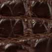 Swatch for Color Chocolate