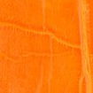 Swatch for Color Orange