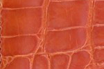 Swatch for Color Orange
