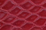 Swatch for Color Red