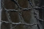 Swatch for Color Black