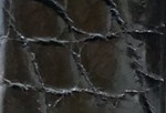 Swatch for Color Black