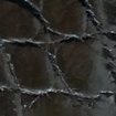 Swatch for Color Black