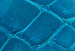Swatch for Color Turquoise