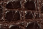 Swatch for Color Chocolate
