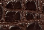 Swatch for Color Chocolate