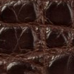 Swatch for Color Chocolate