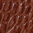 Swatch for Color Cigar