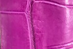Swatch for Color Magenta