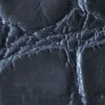 Swatch for Color Navy