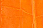 Swatch for Color Orange