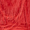 Swatch for Color Red