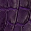 Swatch for Color Violet