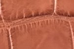 Swatch for Color Cognac