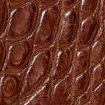 Swatch for Color Cigar