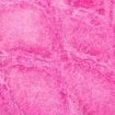Swatch for Color Rosa