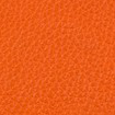 Swatch for Color Orange
